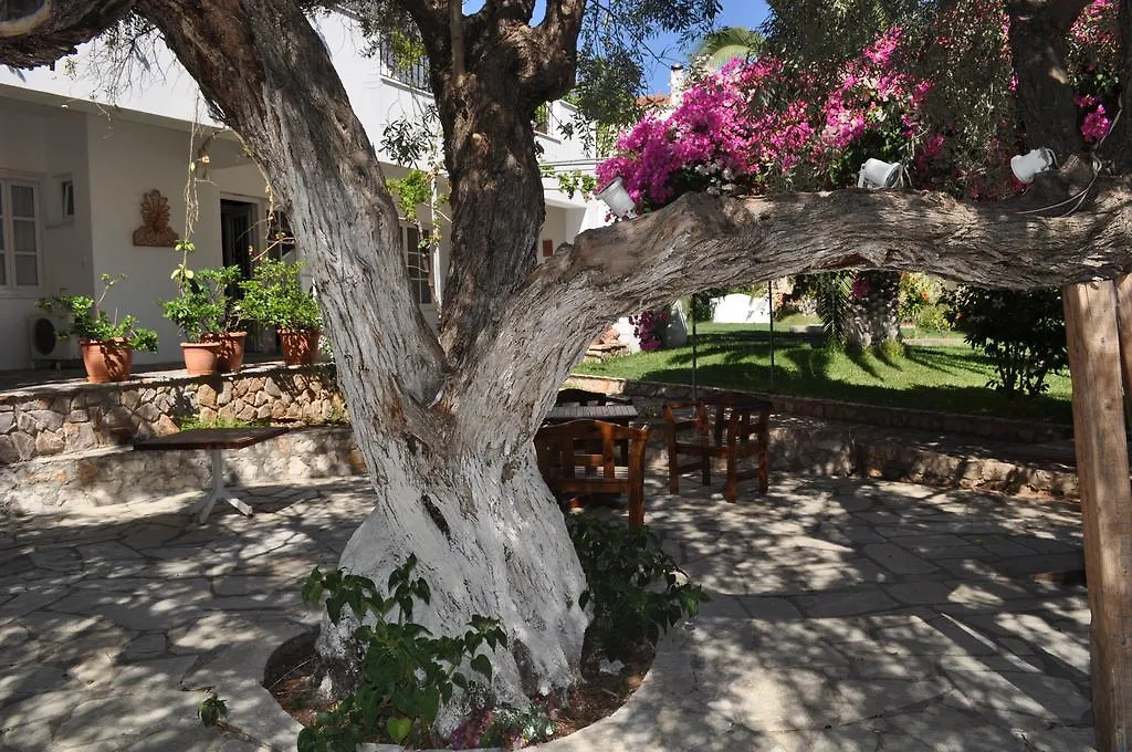 Villa Martha-1